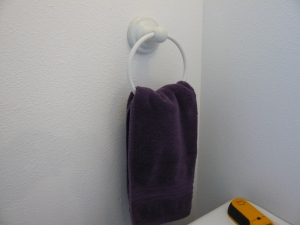 Towel Ring in the 1/2 bath